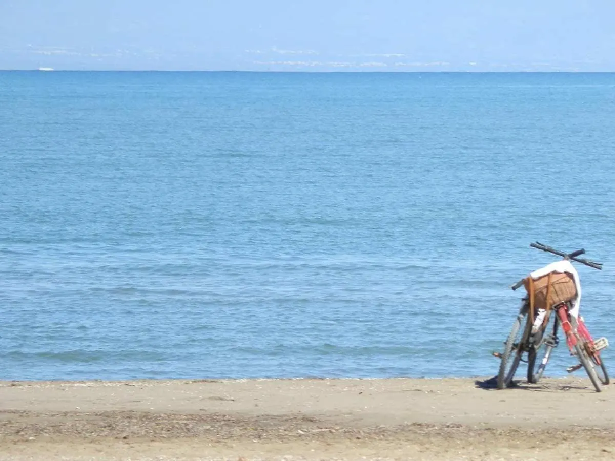Vacaciones Frente Al Mar: Casa Con Wifi, Aire Opcional, Mascotas Bienvenidas Y Playa Para Perros - Es-184-24 利乌玛 西班牙